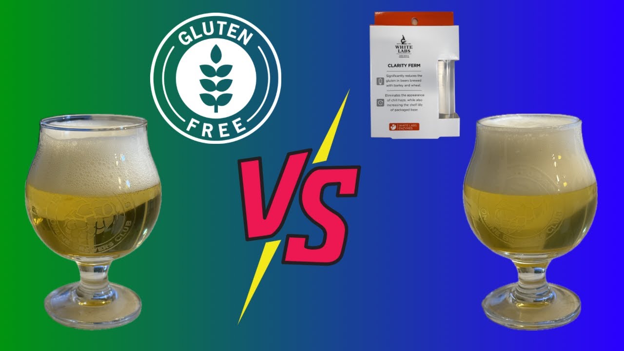 Gluten Free Mexican Lager — Grain to Glass — video thumbnail