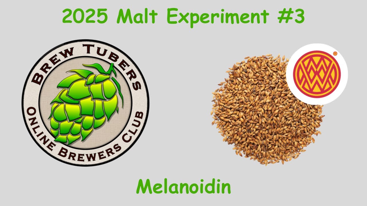 Melanoidin — 2025 Malt Experiment #3